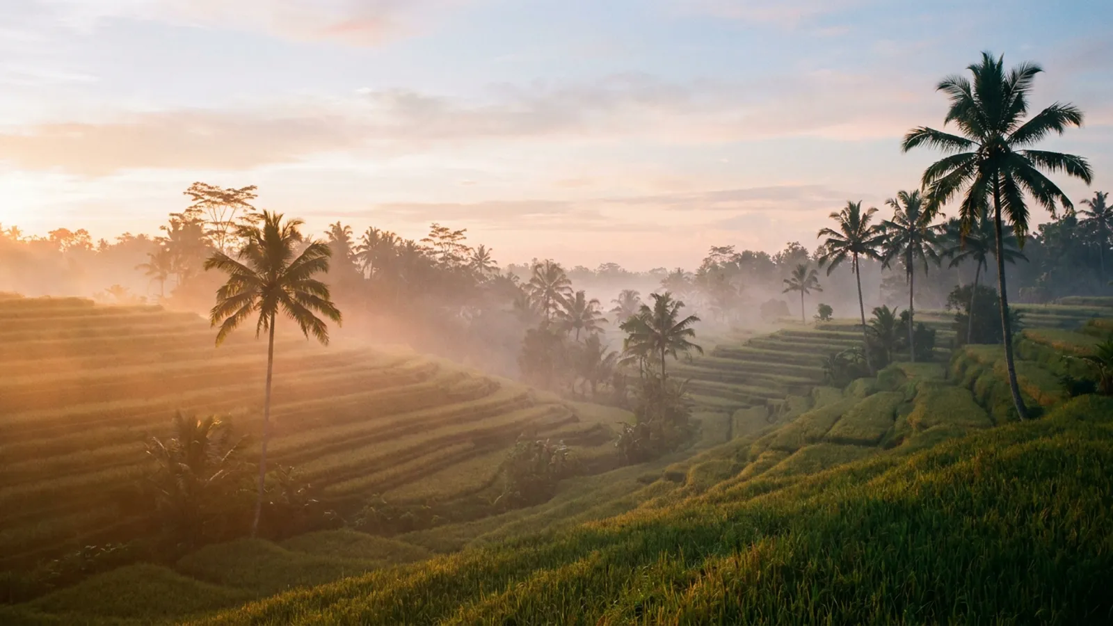 Serene Balinese landscape at dawn with mist rising over rice paddies, soft light, and distant palm trees.