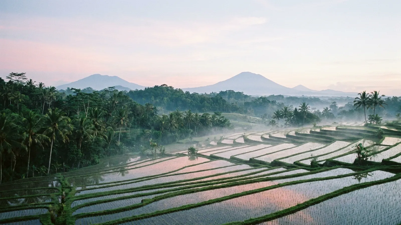 Serene Balinese landscape at dawn with mist over rice paddies and distant mountains, conveying peace and introspection.