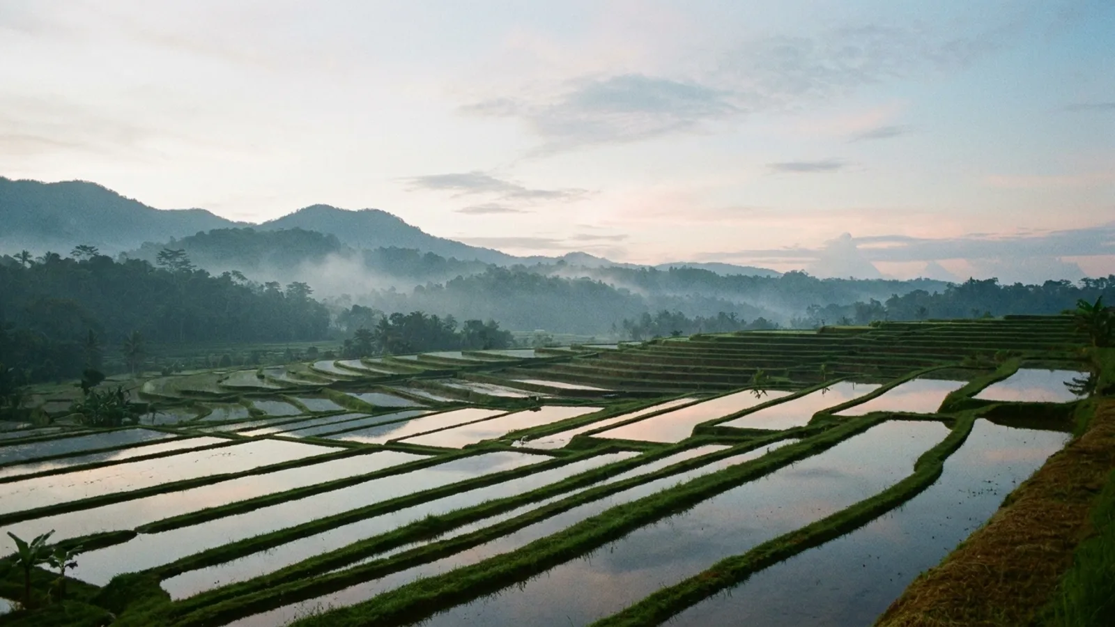 Serene Balinese landscape with lush greenery, rice paddies, and distant mountains under a soft sky