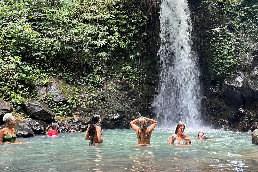 Bali Green Retreat: 4-Day Detox & Yoga — photo 1