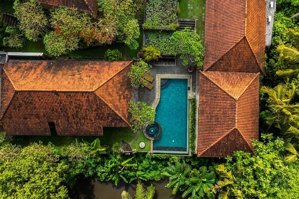 7-Day Neurogenic Reset Program, Ubud — photo 2
